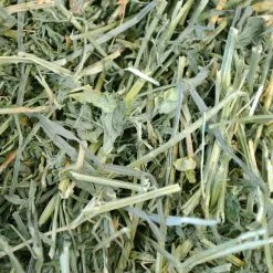 Oxbow Alfalfa Hay Small Animal Food 10 Oxbow Alfalfa Hay Small Animal Food -Oxbow || Zesty Paws Sales 95968 PT2. SY630 V1602253280