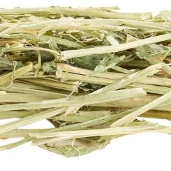 Oxbow Alfalfa Hay Small Animal Food 11 Oxbow Alfalfa Hay Small Animal Food -Oxbow || Zesty Paws Sales 95968 PT3. SY630 V1602254473