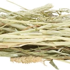 Oxbow Botanical Hay Small Animal Food 13 Oxbow Botanical Hay Small Animal Food -Oxbow || Zesty Paws Sales 95982 PT2. SY630 V1521648543