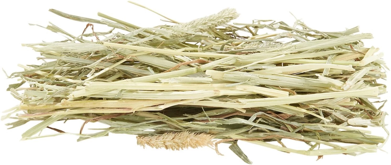 Oxbow Botanical Hay Small Animal Food 5 Oxbow Botanical Hay Small Animal Food - Image 3