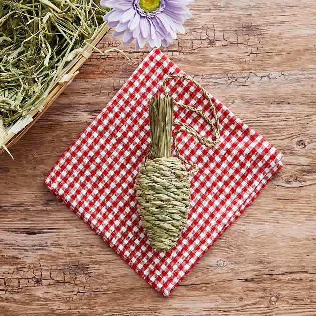 Oxbow Timothy Club Carrot Small Animal Treat 5 Oxbow Timothy Club Carrot Small Animal Treat - Image 3