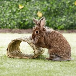 Oxbow Timothy Club Tunnel Small Animal Hideout 5 Oxbow Timothy Club Tunnel Small Animal Hideout -Oxbow || Zesty Paws Sales 96145 PT8. SY630 V1502999515