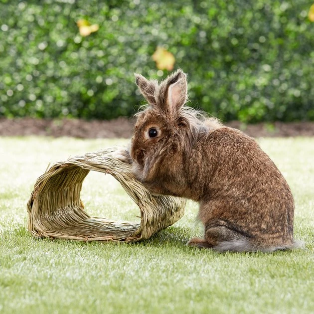 Oxbow Timothy Club Tunnel Small Animal Hideout 4 Oxbow Timothy Club Tunnel Small Animal Hideout - Image 2