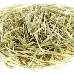 Oxbow Western Timothy Hay Small Animal Food 13 Oxbow Western Timothy Hay Small Animal Food -Oxbow || Zesty Paws Sales 96164 PT8. SY630 V1497457475