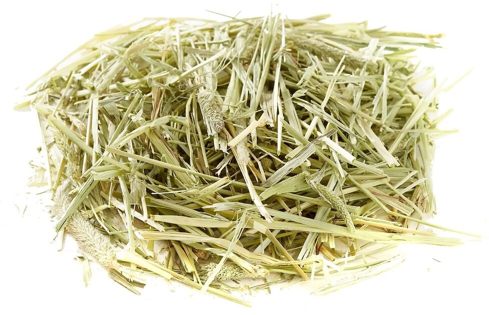 Oxbow Western Timothy Hay Small Animal Food 8 Oxbow Western Timothy Hay Small Animal Food - Image 6